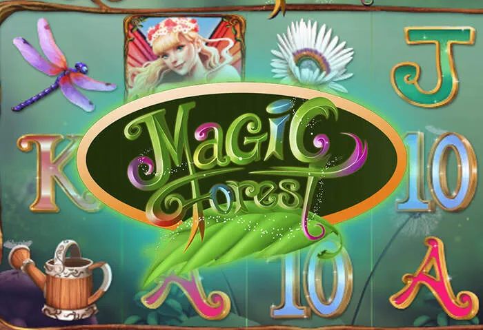 Install Spincity Casino app directly from the Spincitycasinodownload Store.