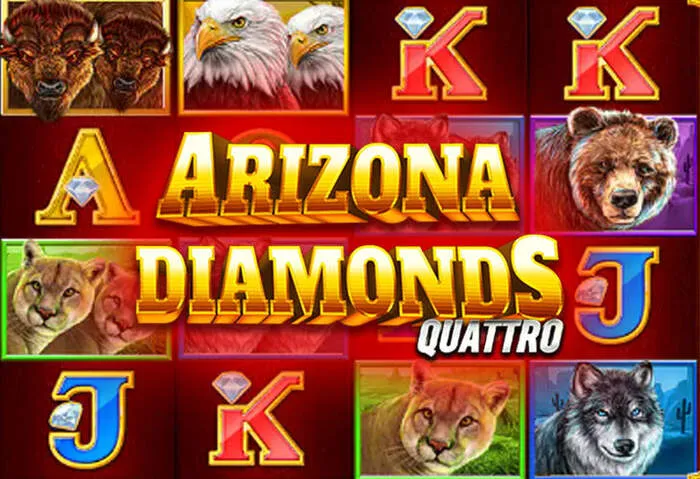 Широкий вибір ігрових автоматів та ігор Spincity Casino, доступних після завантаження з магазину